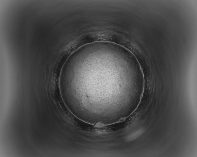 X0000085780757200703231245