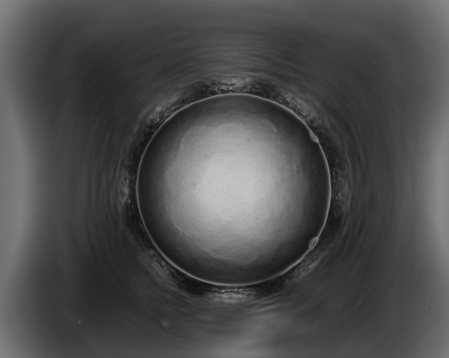 X0000085780758200703231245