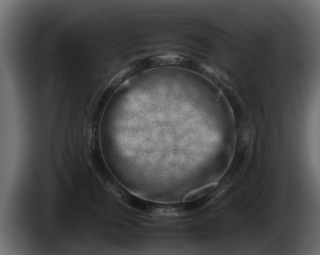 X0000085780759200703231245