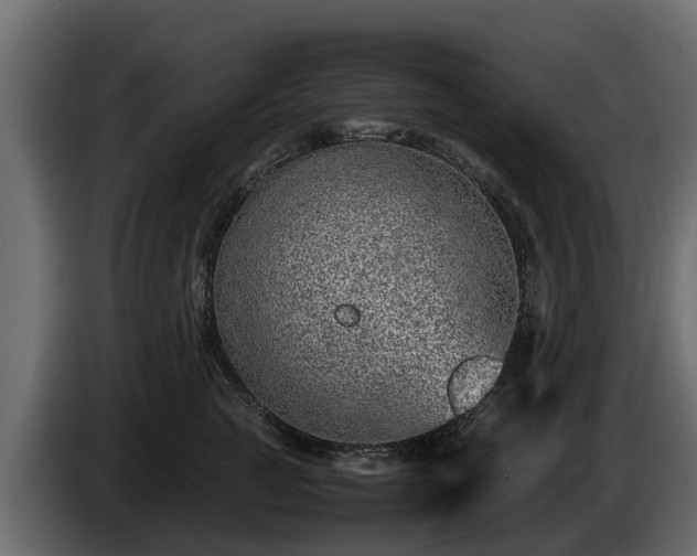 X0000085780761200703231245