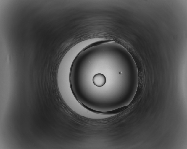 X0000085780762200703231245