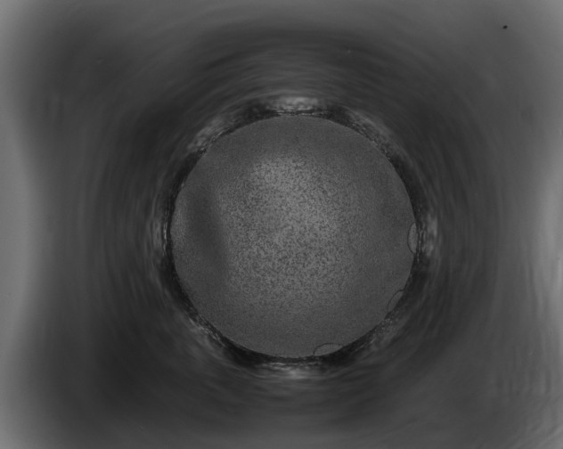 X0000085780763200703231246