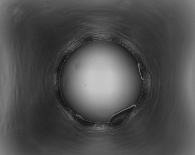 X0000085780764200703231246