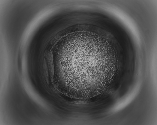 X0000085780765200703231246