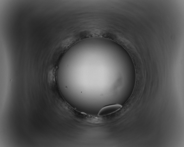 X0000085780768200703231246