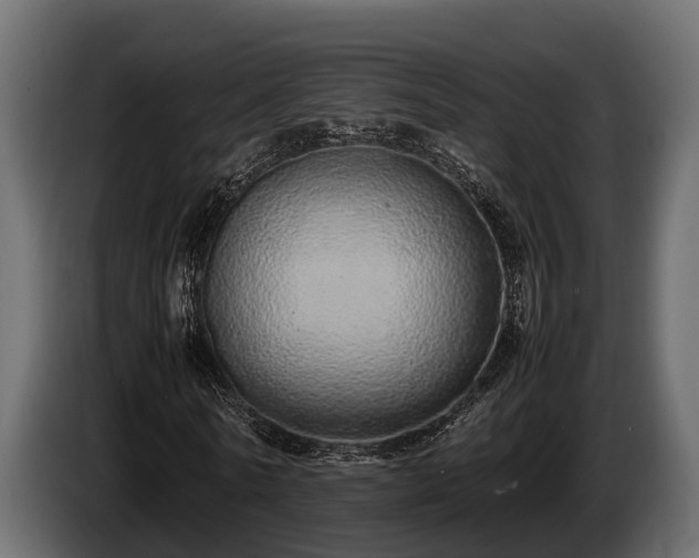 X0000085780770200703231245