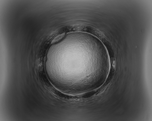 X0000085780771200703231245