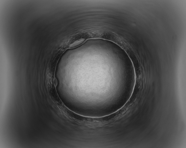 X0000085780772200703231245