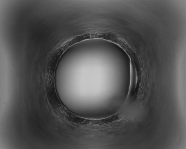 X0000085780773200703231245