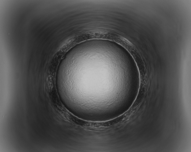 X0000085780774200703231245