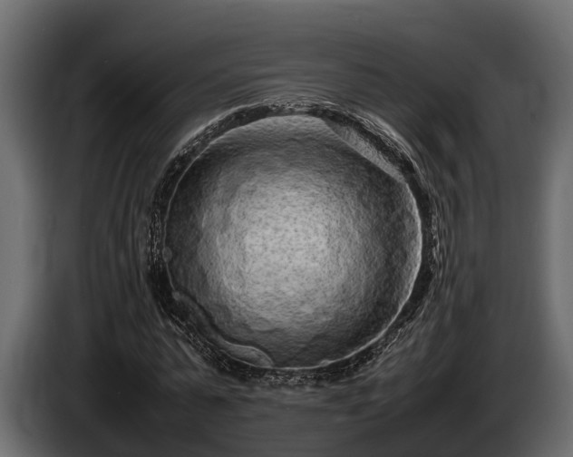 X0000085780775200703231245