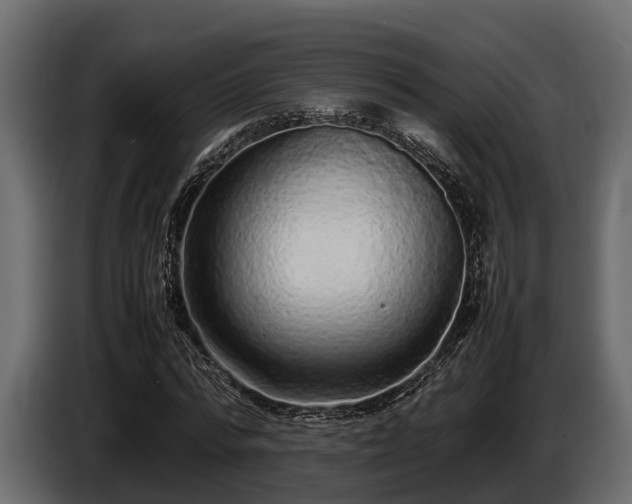 X0000085780776200703231245