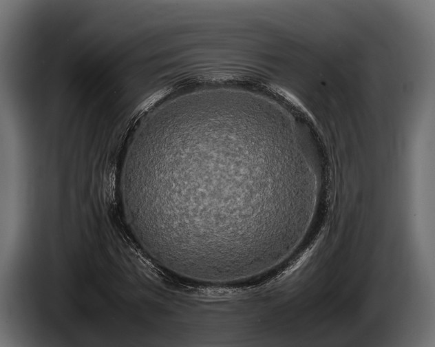 X0000085780777200703231245