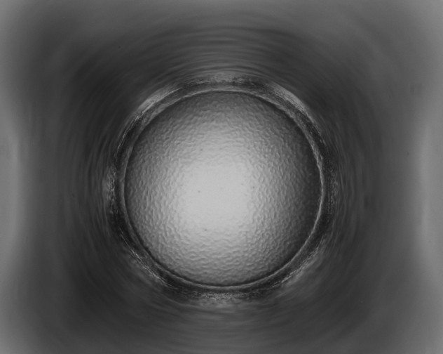 X0000085780778200703231245