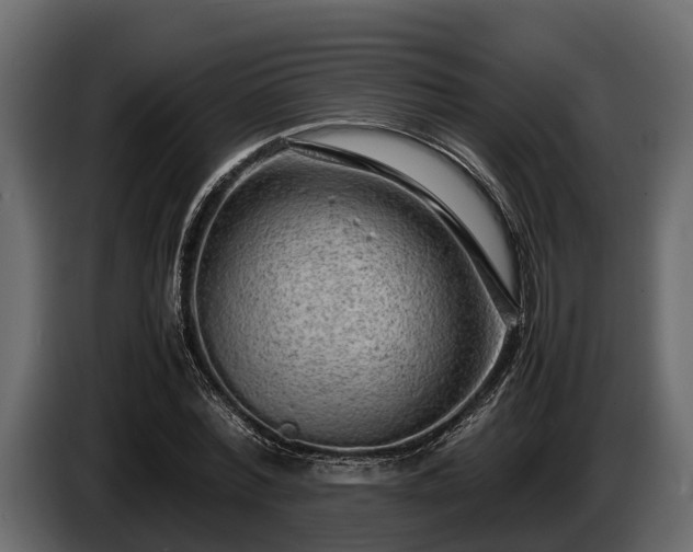 X0000085780780200703231245