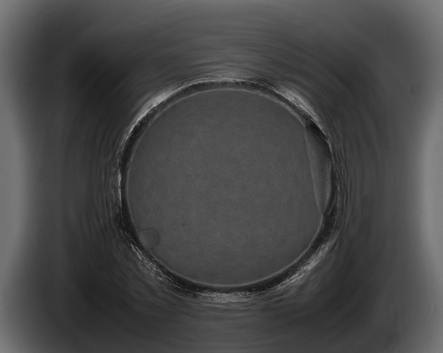 X0000085780781200703231245