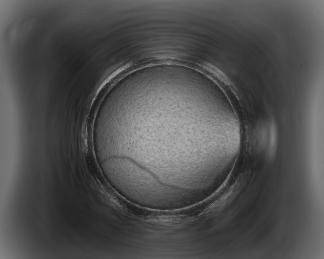 X0000085780782200703231245