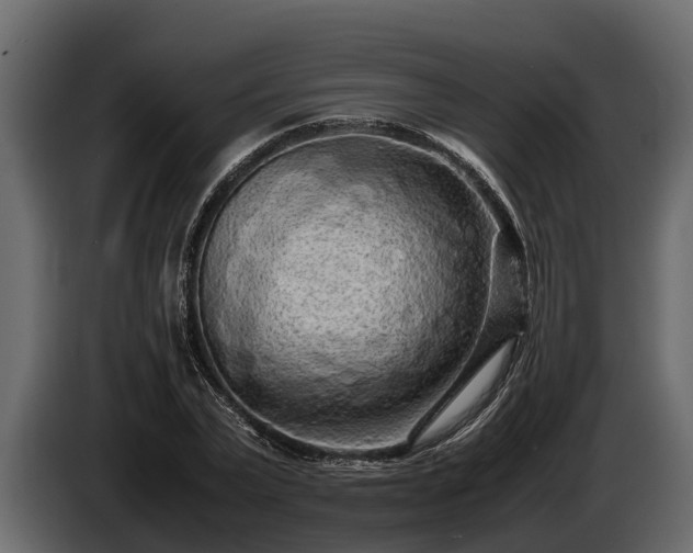 X0000085780783200703231245