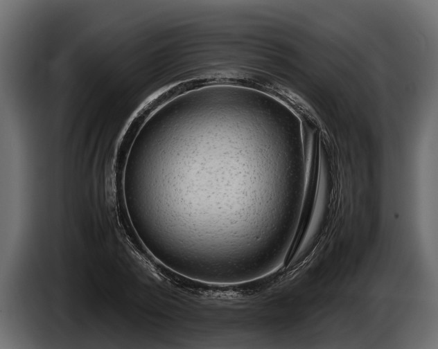 X0000085780784200703231245