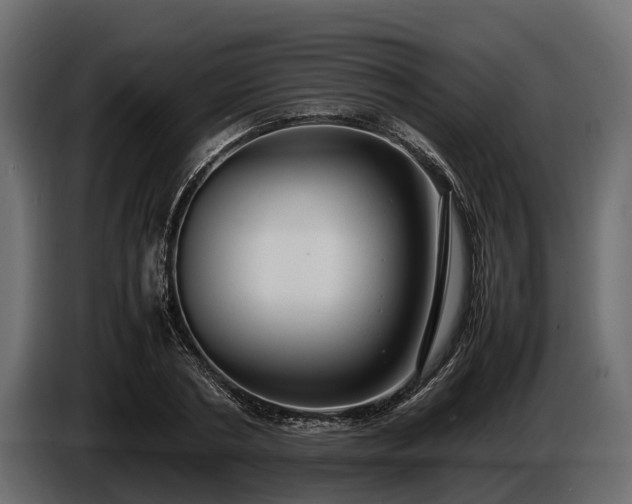 X0000085780786200703231245