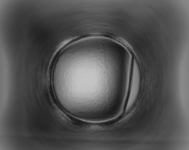 X0000085780787200703231245