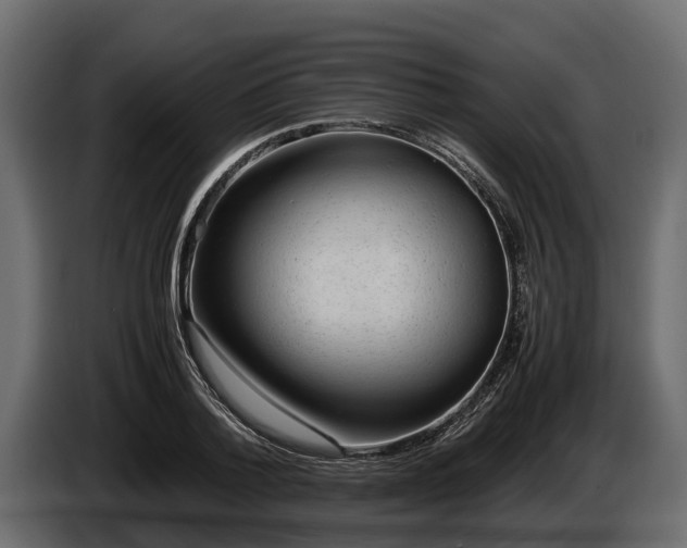 X0000085780788200703231245