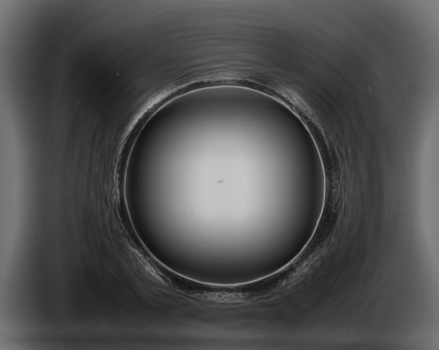 X0000085780789200703231245