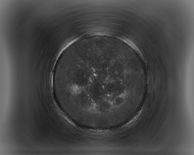 X0000085780790200703231245