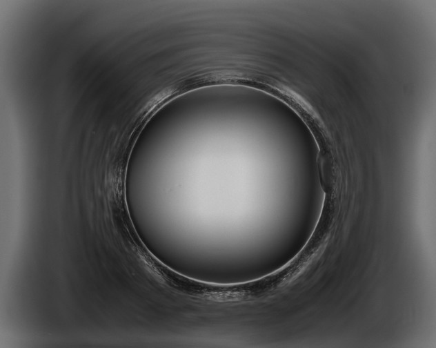 X0000085780793200703231244