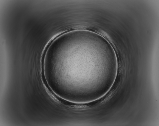 X0000085780795200703231244