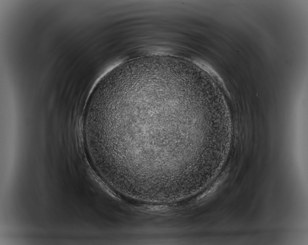 X0000085780798200703231244