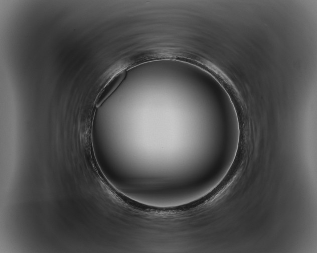 X0000085780801200703231244