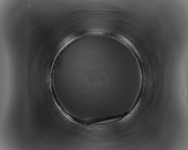 X0000085780802200703231244