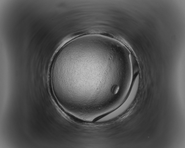 X0000085780803200703231244