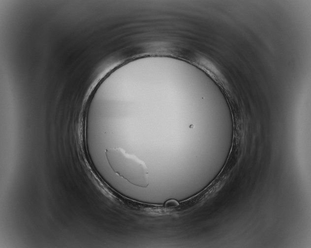 X0000085780804200703231244