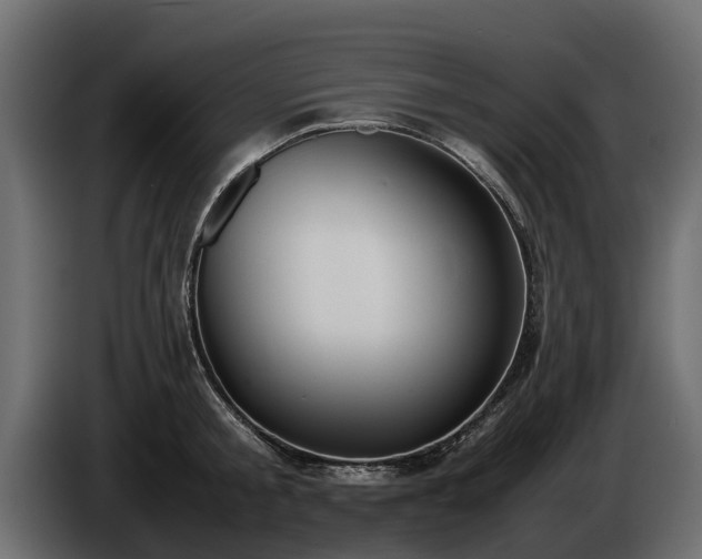 X0000085780805200703231244