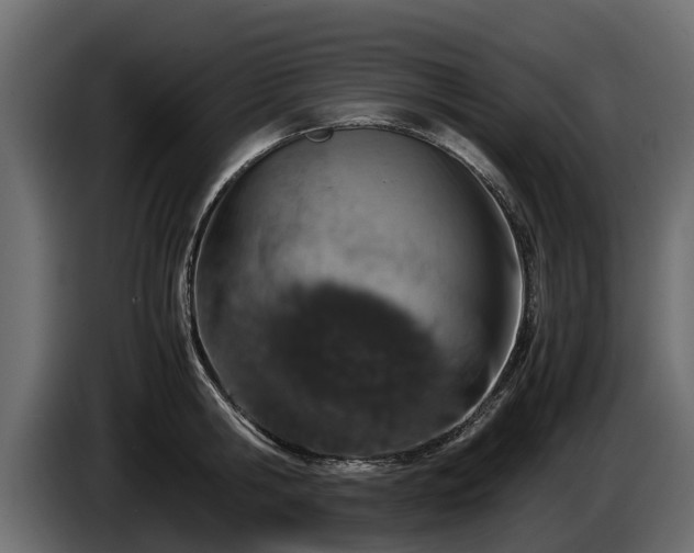 X0000085780806200703231244