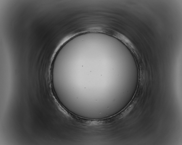 X0000085780808200703231244