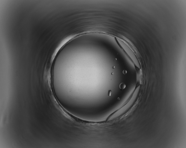 X0000085780812200703231244