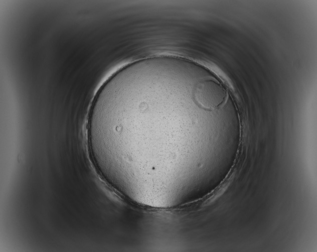 X0000085780814200703231244