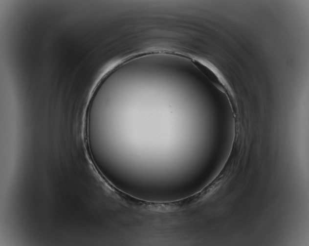 X0000085780815200703231244