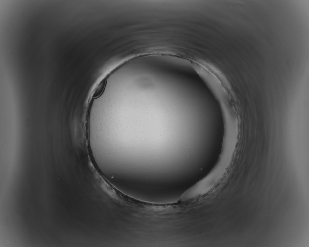 X0000085780816200703231244