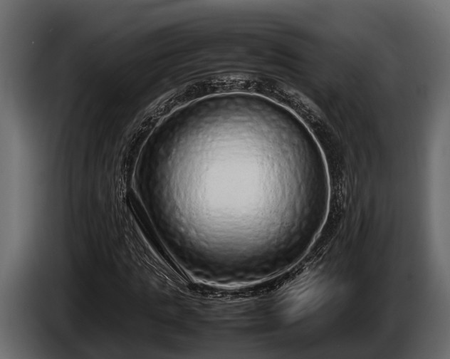 X0000085780821200703231243