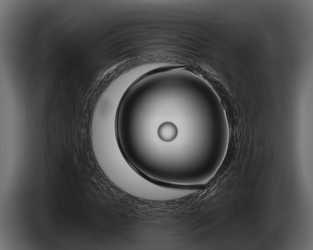 X0000085780822200703231243