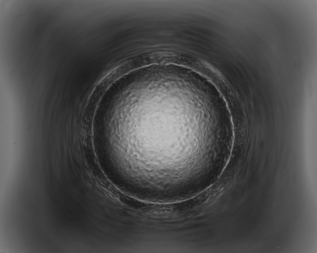 X0000085780823200703231243