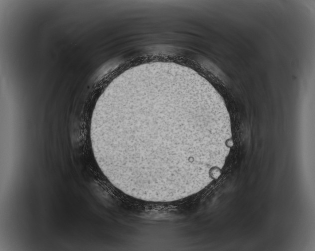 X0000085780824200703231243