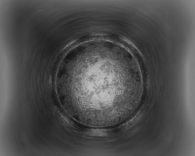 X0000085780825200703231243