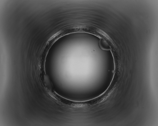 X0000085780826200703231244