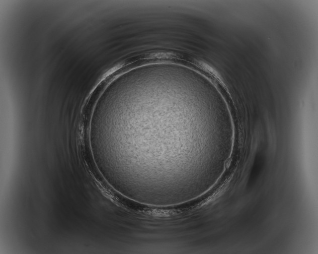 X0000085780827200703231244