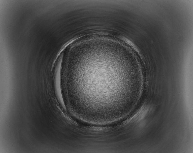 X0000085780829200703231244